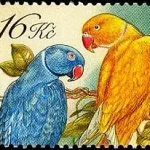 Hodowla zwierząt: Papugi