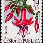 Znaczek obiegowy – kwiaty: Fuksja