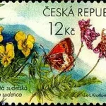 Chroniona fauna i flora w Karkonoszach