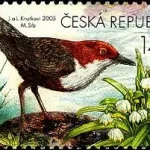 Chroniona fauna i flora w Karkonoszach