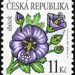 Znaczek obiegowy – kwiaty: Ketmia