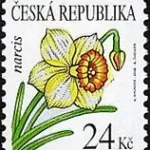 Znaczek obiegowy – kwiaty: Narcyz