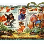 Hodowla zwierząt: Ryby akwariowe