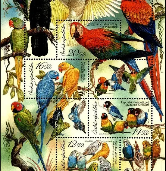 Hodowla zwierząt: Papugi