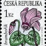 Znaczki obiegowe – kwiaty: Cyklamen alpejski