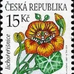 Znaczek obiegowy – kwiaty: Nasturcja
