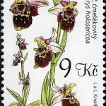 Ochrona przyrody – Białe Karpaty i Łąki Orchidei – Rezerwat Biosfery UNESCO