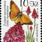 Ochrona przyrody – Białe Karpaty i Łąki Orchidei – Rezerwat Biosfery UNESCO