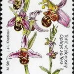 Ochrona przyrody – Białe Karpaty i Łąki Orchidei – Rezerwat Biosfery UNESCO