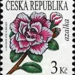 Znaczek obiegowy – kwiaty: Azalia