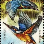 Třeboňsko ochrona przyrody - obszar stawów i rezerwat biosfery UNESCO