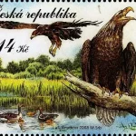 Třeboňsko ochrona przyrody - obszar stawów i rezerwat biosfery UNESCO