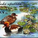 Třeboňsko ochrona przyrody - obszar stawów i rezerwat biosfery UNESCO