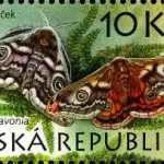 Ochrona przyrody: region Křivoklátsko - rezerwat biosfery UNESCO