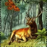 Ochrona przyrody: region Křivoklátsko - rezerwat biosfery UNESCO