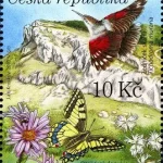 Ochrona przyrody: Dolni Morava - rezerwat biosfery UNESCO