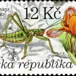 Ochrona przyrody: Dolni Morava - rezerwat biosfery UNESCO