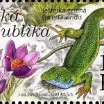 Ochrona przyrody: Dolni Morava - rezerwat biosfery UNESCO