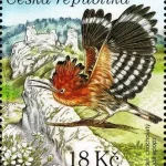 Ochrona przyrody: Dolni Morava - rezerwat biosfery UNESCO