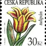 Znaczki obiegowe – kwiaty: Tulipan