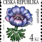 Znaczki obiegowe – kwiaty: Sasanka