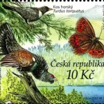 Ochrona Przyrody: Šumava - rezerwat biosfery UNESCO