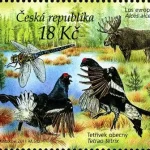 Ochrona Przyrody: Šumava - rezerwat biosfery UNESCO