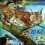 Ochrona Przyrody: Šumava - rezerwat biosfery UNESCO