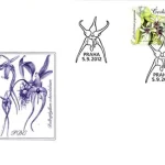 Uprawa kwiatów - piękno storczyków