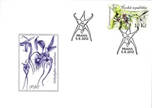 Uprawa kwiatów - piękno storczyków