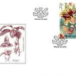 Uprawa kwiatów - piękno storczyków