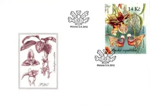 Uprawa kwiatów - piękno storczyków