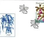 Uprawa kwiatów - piękno storczyków