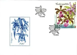 Uprawa kwiatów - piękno storczyków