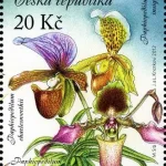 Uprawa kwiatów - piękno storczyków