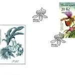 Uprawa kwiatów - piękno storczyków