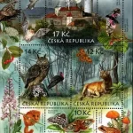 Ochrona przyrody: region Křivoklátsko - rezerwat biosfery UNESCO