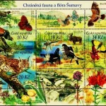 Ochrona Przyrody: Šumava - rezerwat biosfery UNESCO