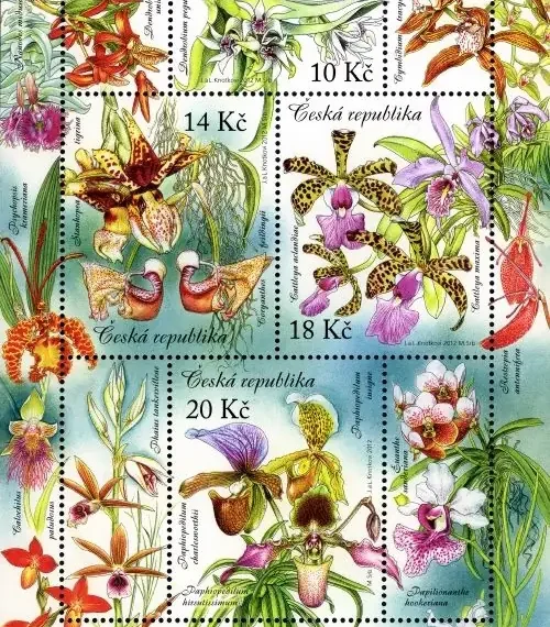 Uprawa kwiatów - piękno storczyków