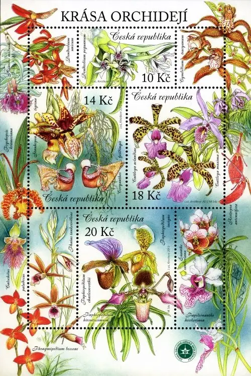 Uprawa kwiatów - piękno storczyków