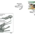 Ochrona przyrody - Ogrody Zoologiczne
