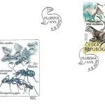 Ochrona przyrody - Ogrody Zoologiczne