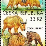 Ochrona przyrody - Ogrody Zoologiczne