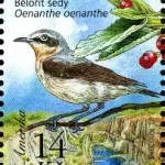 Ochrona przyrody - Region Karlštejn