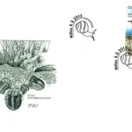 Ochrona przyrody - Region Karlštejn