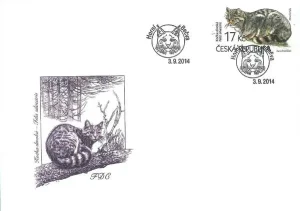 Ochrona przyrody - Beskidy