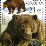 Ochrona przyrody - Beskidy