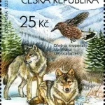 Ochrona przyrody - Beskidy