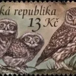 Ochrona przyrody - Sowy