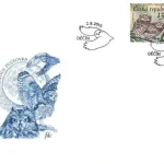 Ochrona przyrody - Sowy